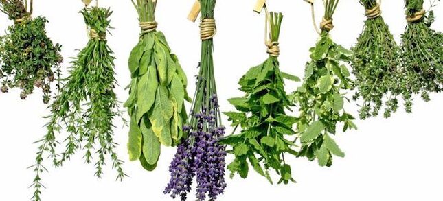 Erbe per aumentare la potenza negli uomini